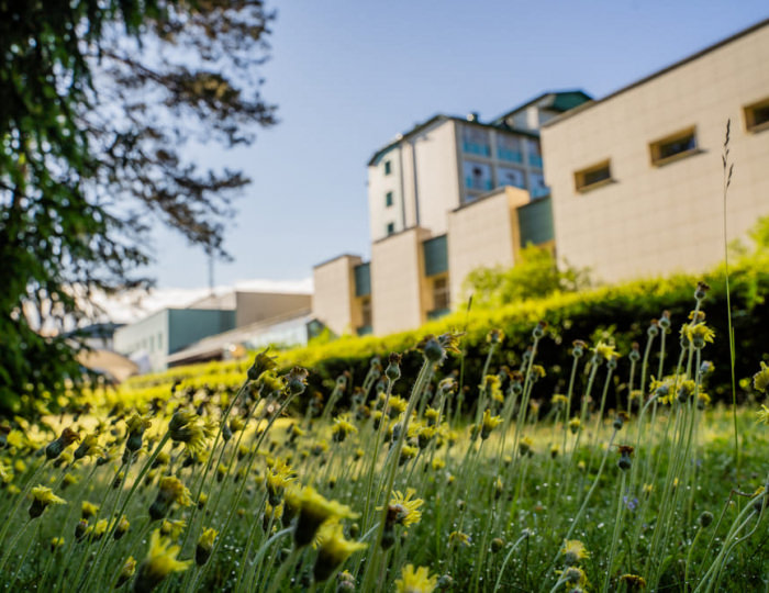 Контакты - Санаторий «Приозерный» Беларусь Контакты - Санаторий «Приозерный» Беларусь